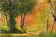 Chemin aux couleurs automnales,aquarelle,format 40 x 30