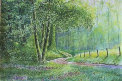 Chemin de campagne au printemps,aquarelle,format 40 x 30