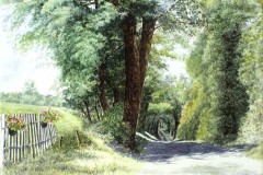 Chemin menant à un sous-bois,aquarelle,format 40 x 30