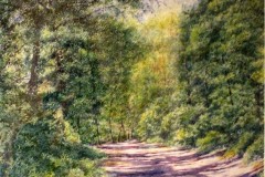 Chemin forestier en ombres et lumières,aquarelle,format 40 x 30