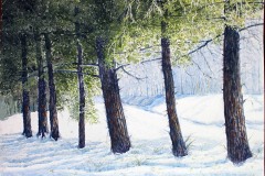 arbres en hiver, aquarelle, 40 x 30
